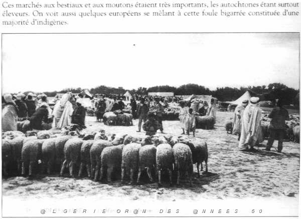 SBA LE MARCHE 06.JPG